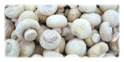 organic frozen mushrooms in bulk packaging